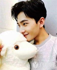 粉丝爆料杨洋事件视频,真相扑朔迷离引热议